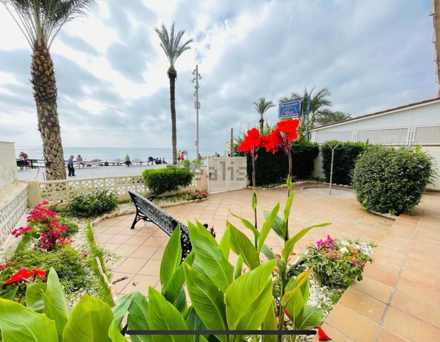 Blue House 1ª Linea Playa Apartment Torrevieja Exterior photo